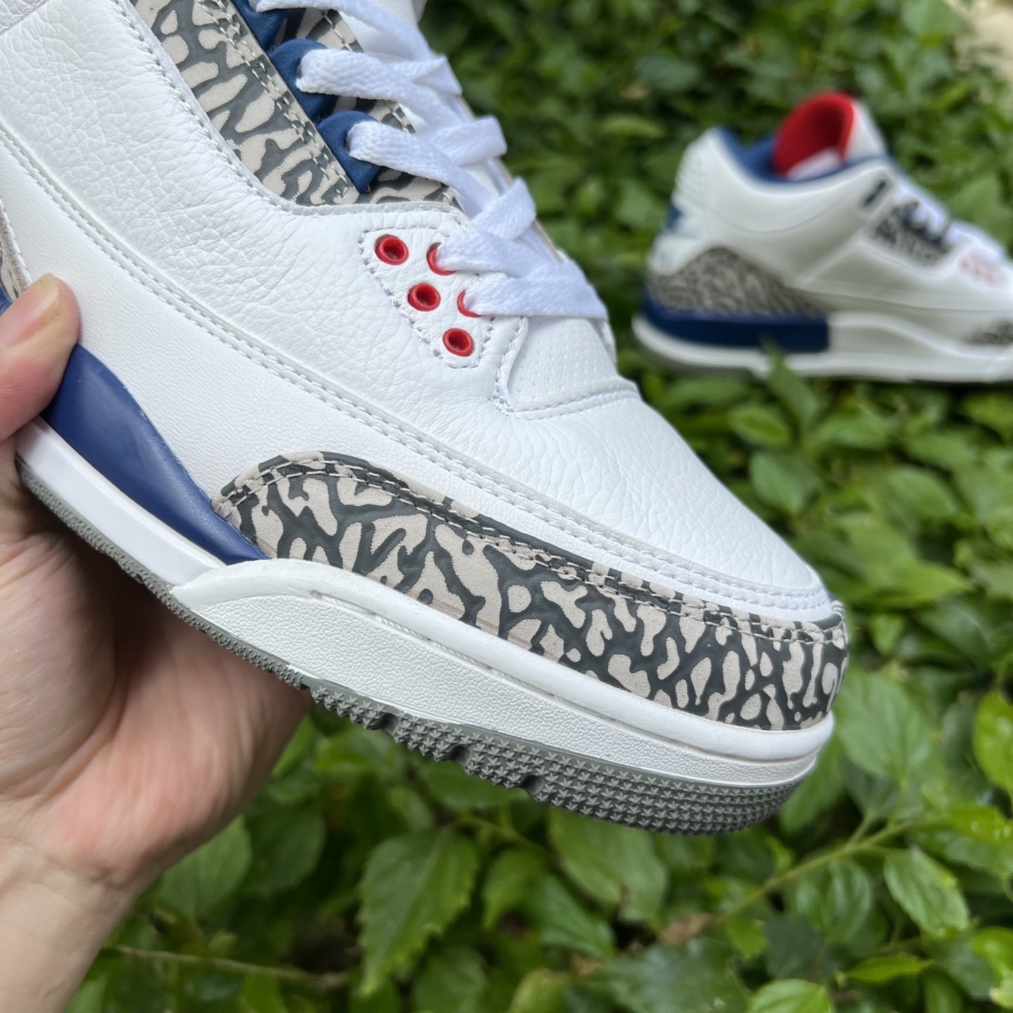 Nike Jordan shoe